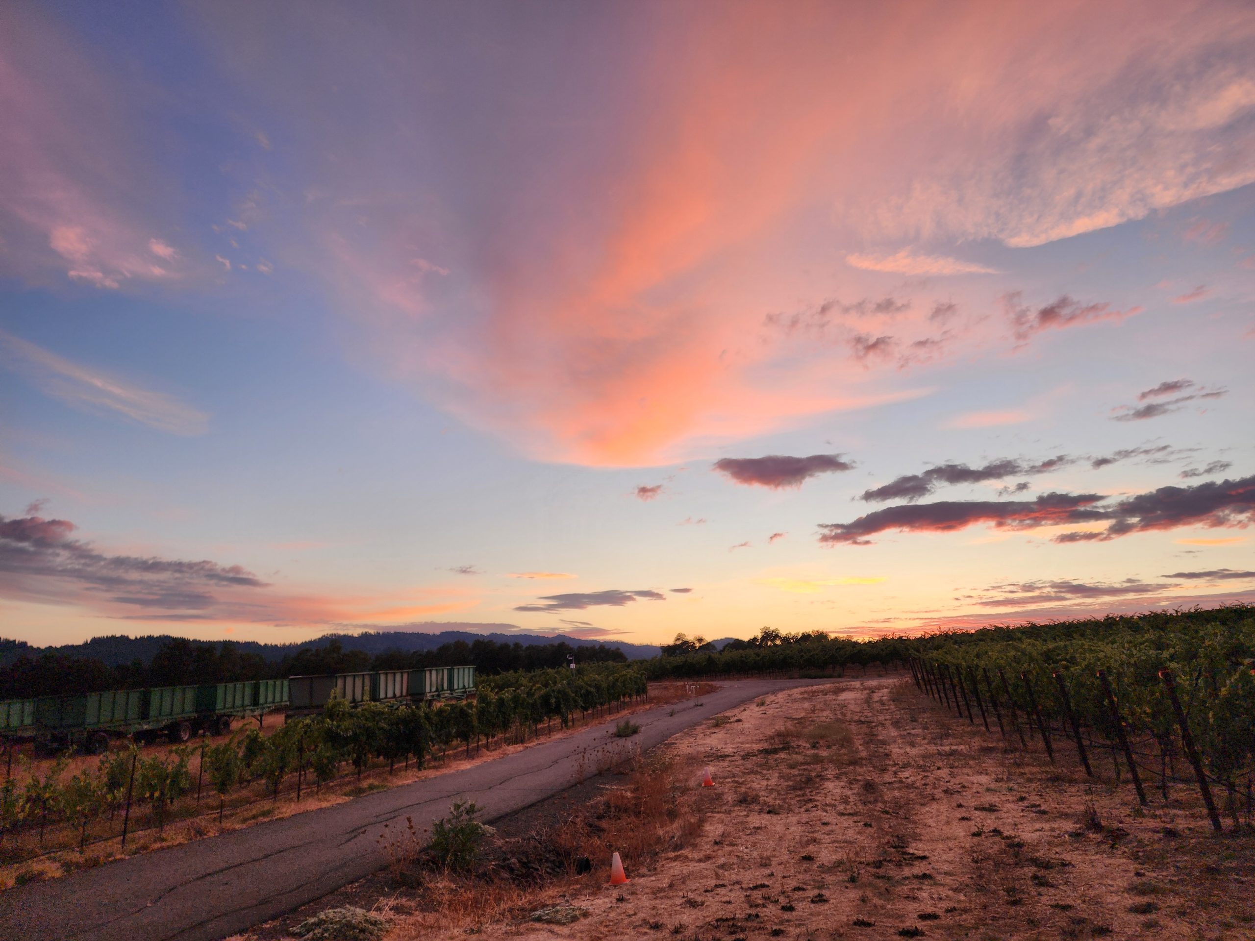 Sunset over Lytton Manor Vineyard